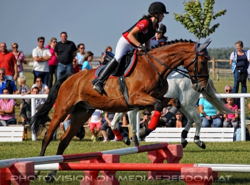 Die Pr�sentation 029