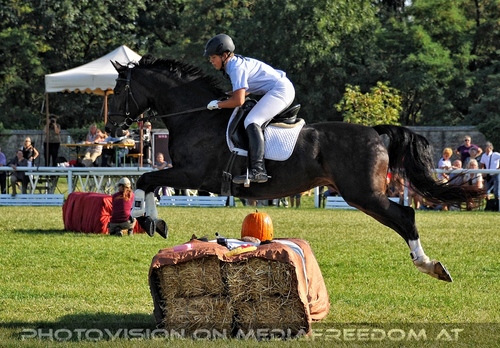 Die Pr�sentation 043