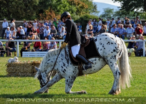 Die Pr�sentation 045