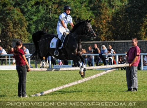 Die Pr�sentation 046