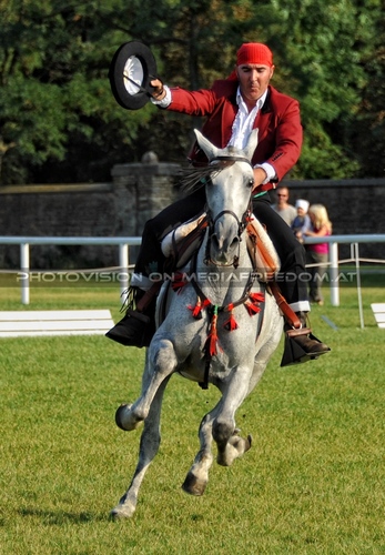 Die Pr�sentation 055