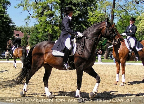 Reit- und Springturnier 05