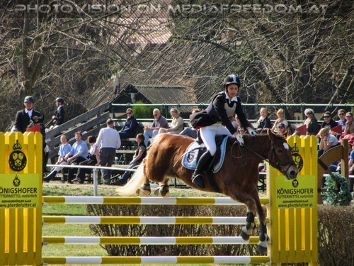 Reitclub Turnier Pix 06