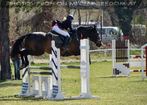 Reitclub Turnier Pix 11