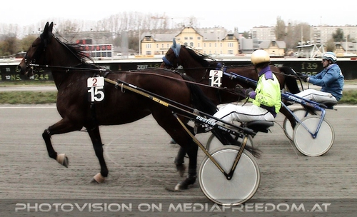 Zur Traber Aufstellung