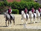 Die Lipizzaner Pr�sentation 05