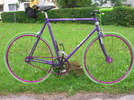  FIXIE / SINGLESPEED