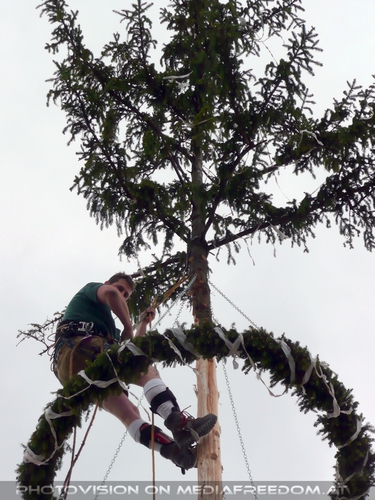 Maibaum Kraxler im Kranz