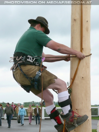 Maibaum Kraxler auf geht's