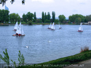 Segelregatta 1