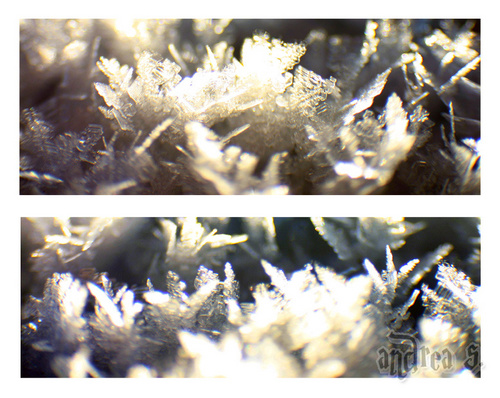 "schnee-/eiskristalle"