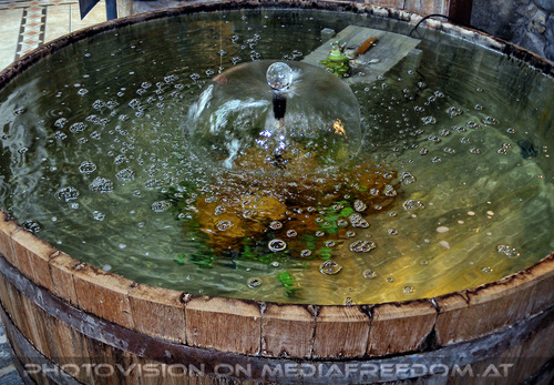 Geburtstag im Schaffelbad 19