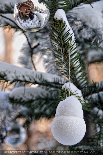Beim Tiroler Garten 2
