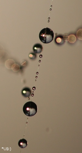 ���very nice drops