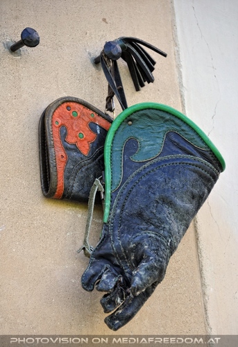 Greifvogel Vorf�hrung 73