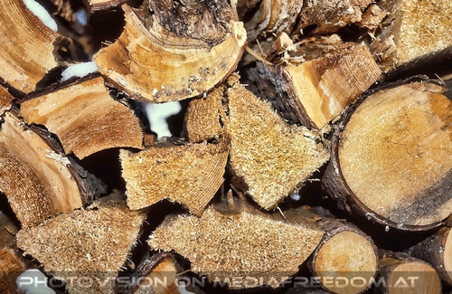 Holzvorrat