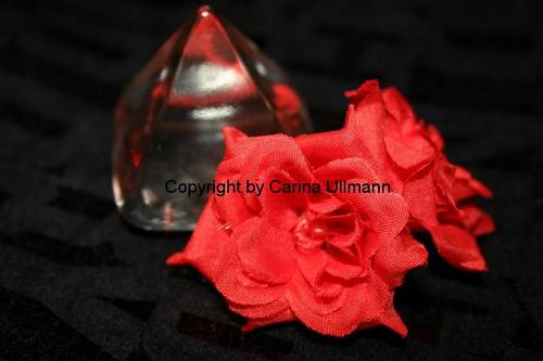 Rosen mit Glas-Pyramide