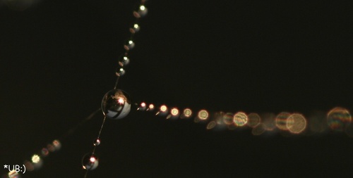 ���very nice drops