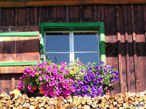 Nicht nur Holz vor der H�tte