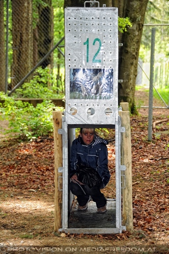 F�r vier Pfoten 70