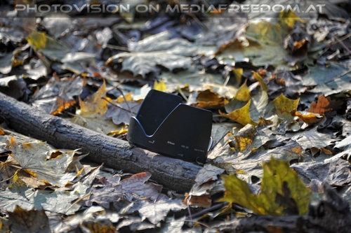 Meine Sonnenblende bei den W�lfen 1