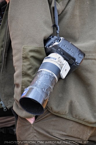 F�r vier Pfoten 51