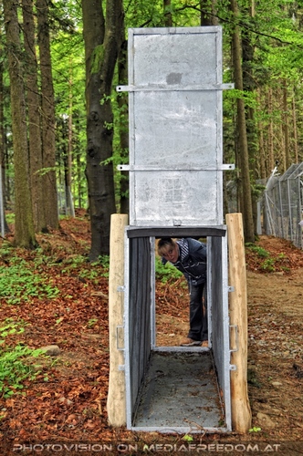 F�r vier Pfoten 17