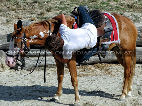 Winnetou und die Felsenburg 16