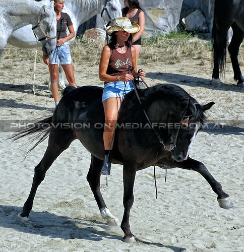 Winnetou und die Felsenburg 09: Roswitha Schneider