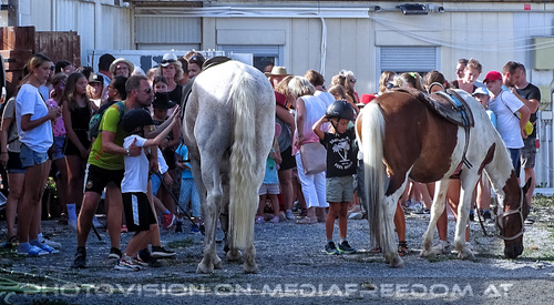 Winnetou und die Felsenburg 27
