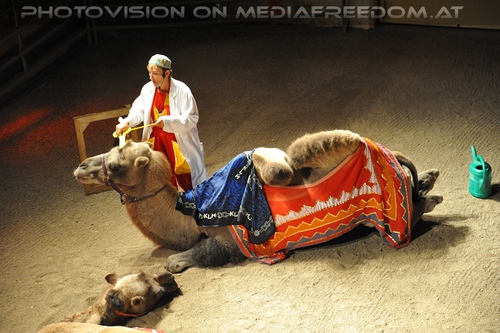 Die Hochzeit des Sultans 11