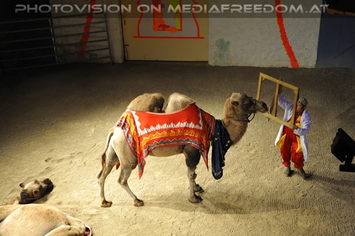 Die Hochzeit des Sultans 12