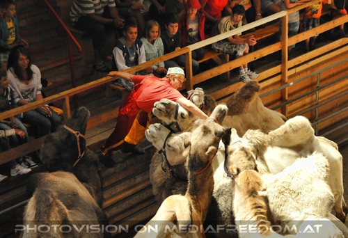 Die Hochzeit des Sultans 16