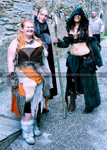 Elfen, Gnome und Druiden 55