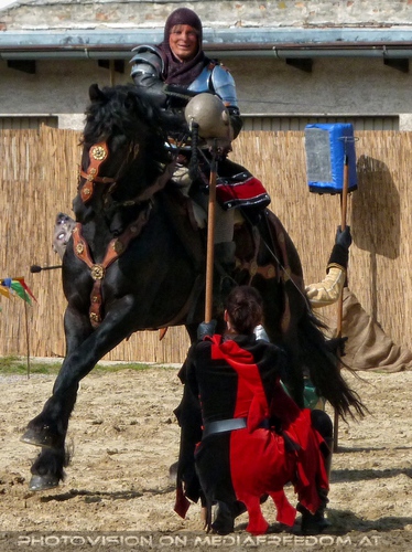 Das Ritterturnier 04