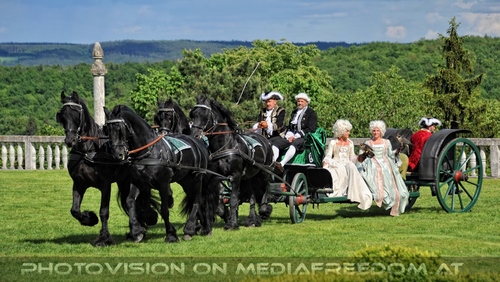 Greifvogel Vorf�hrung 34