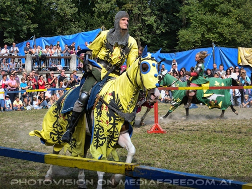 Ritterturnier Yellow Knight: Honoris