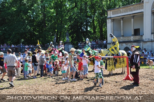 Such dir deinen Ritter