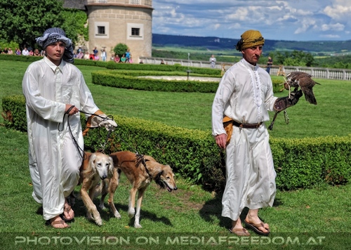 Greifvogel Vorf�hrung 21
