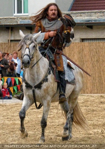 Das Ritterturnier 10