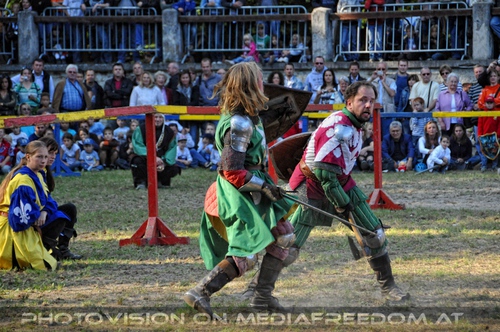 Ritterturnier zu Pferde 32: Honoris