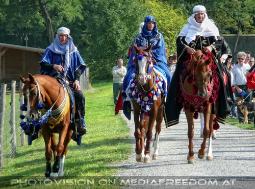 Die Pferdeshow 13 - Araber