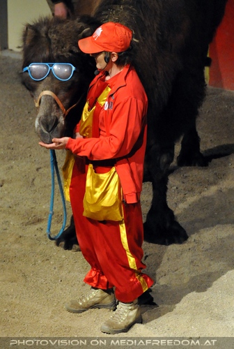 Hochzeit des Sultan 01