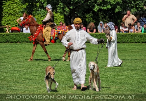 Greifvogel Vorf�hrung 13