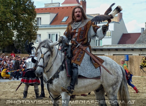 Das Ritterturnier 17