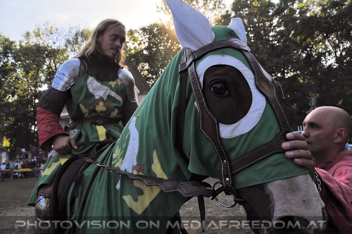 Ritterturnier zu Pferde 42: Honoris