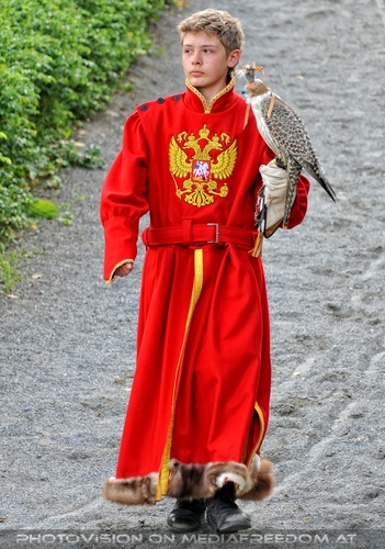 Greifvogel Vorf�hrung 37