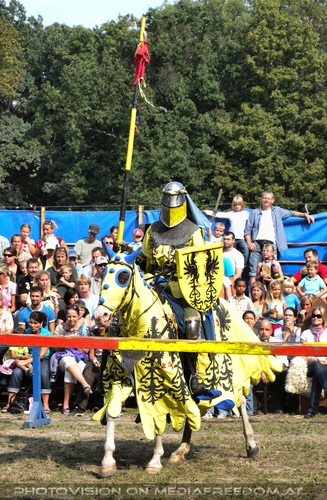 Ritterturnier Der gelbe Ritter