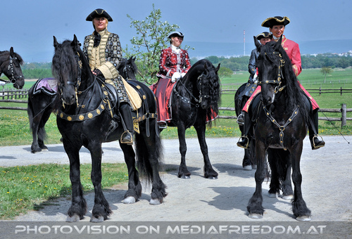 Der Umzug 33: Moments in Black