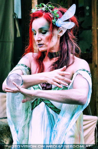 Elfen, Gnome und Druiden 11